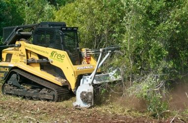 Cserje és bozótirtás - hatékonyan2